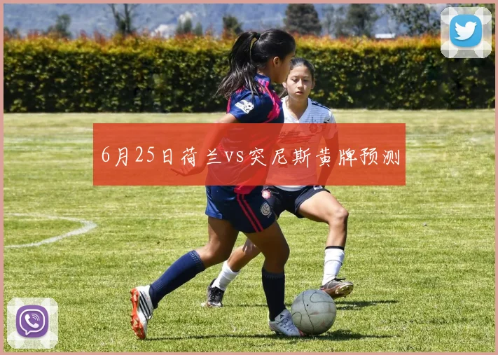 6月25日荷兰vs突尼斯黄牌预测