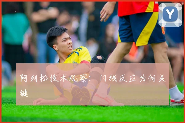 阿利松技术观察：门线反应为何关键