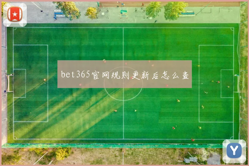bet365官网规则更新后怎么查