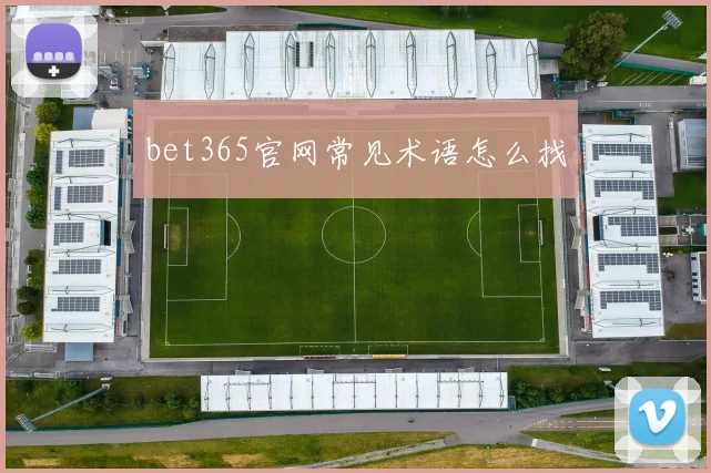 bet365官网常见术语怎么找