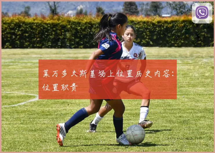 莱万多夫斯基场上位置历史内容：位置职责