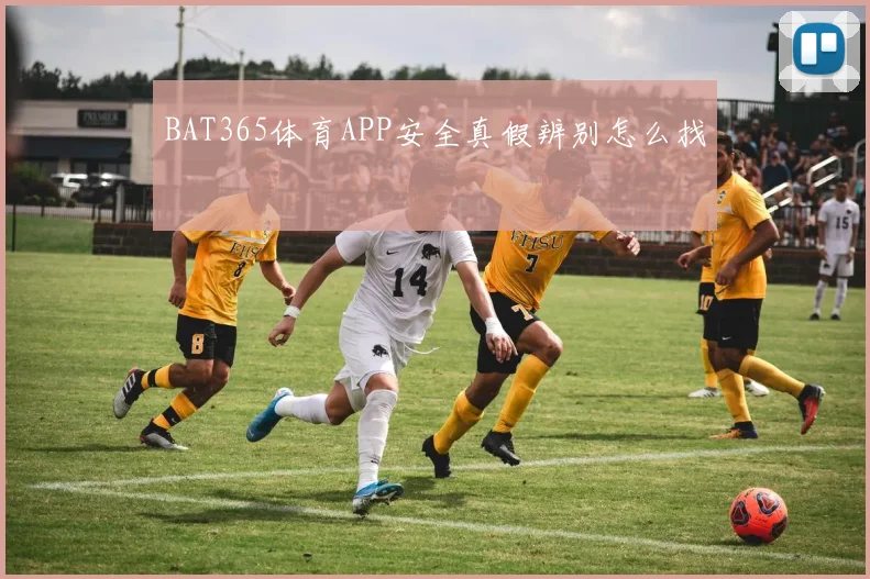 BAT365体育APP安全真假辨别怎么找