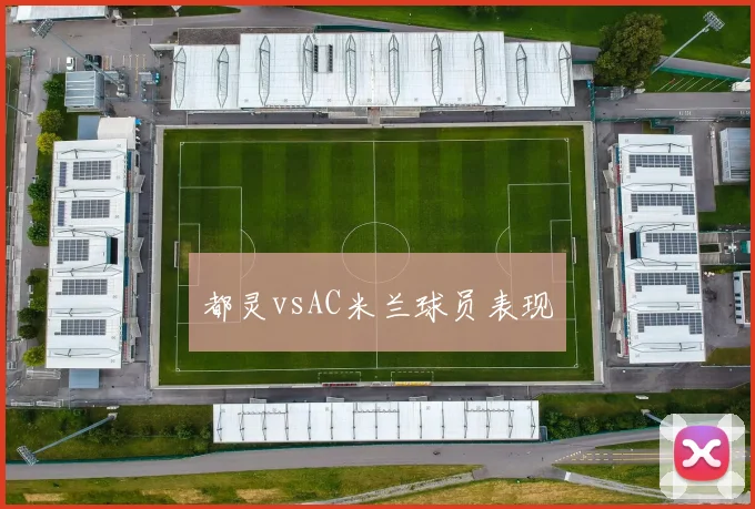 都灵vsAC米兰球员表现